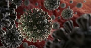 Un virus COVID synthétique hautement pathogène pour l’être humain créé par l’institut de virologie de Wuhan et les USA