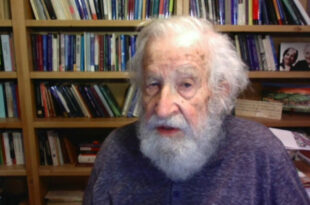 Noam Chomsky, 92 ans, figure de proue des universitaires de gauche